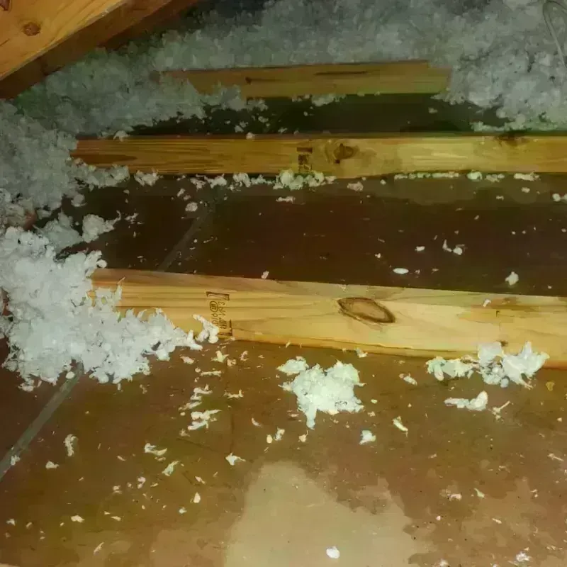 Attic Water Damage in Cypress, CA