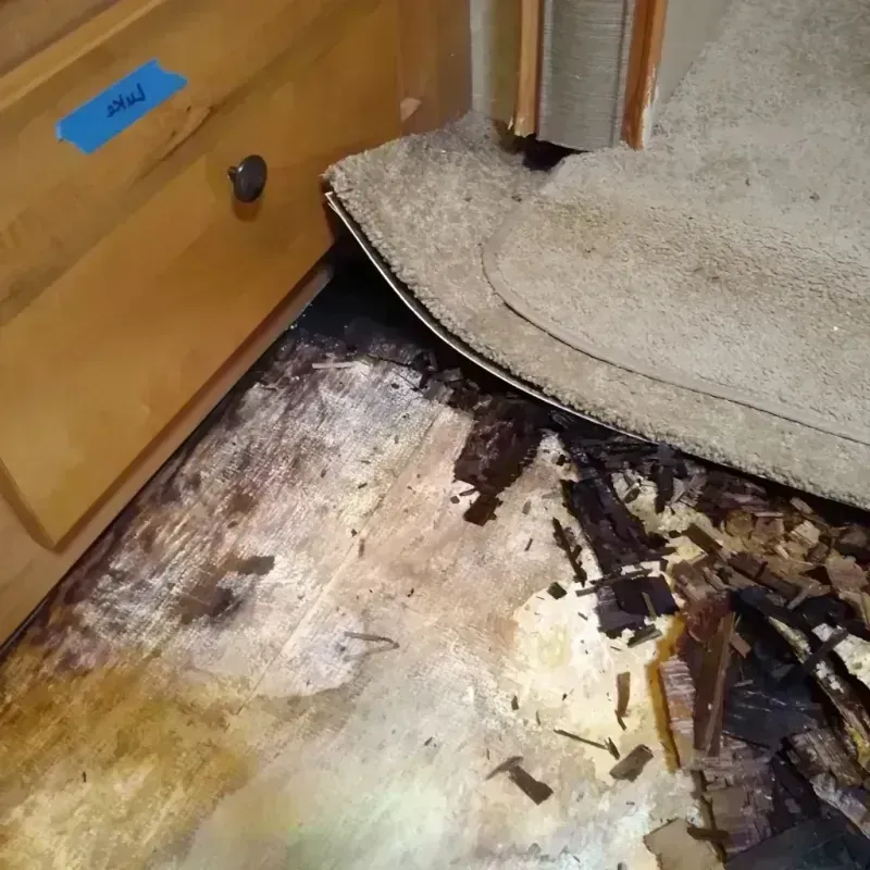 Wood Floor Water Damage in Cypress, CA